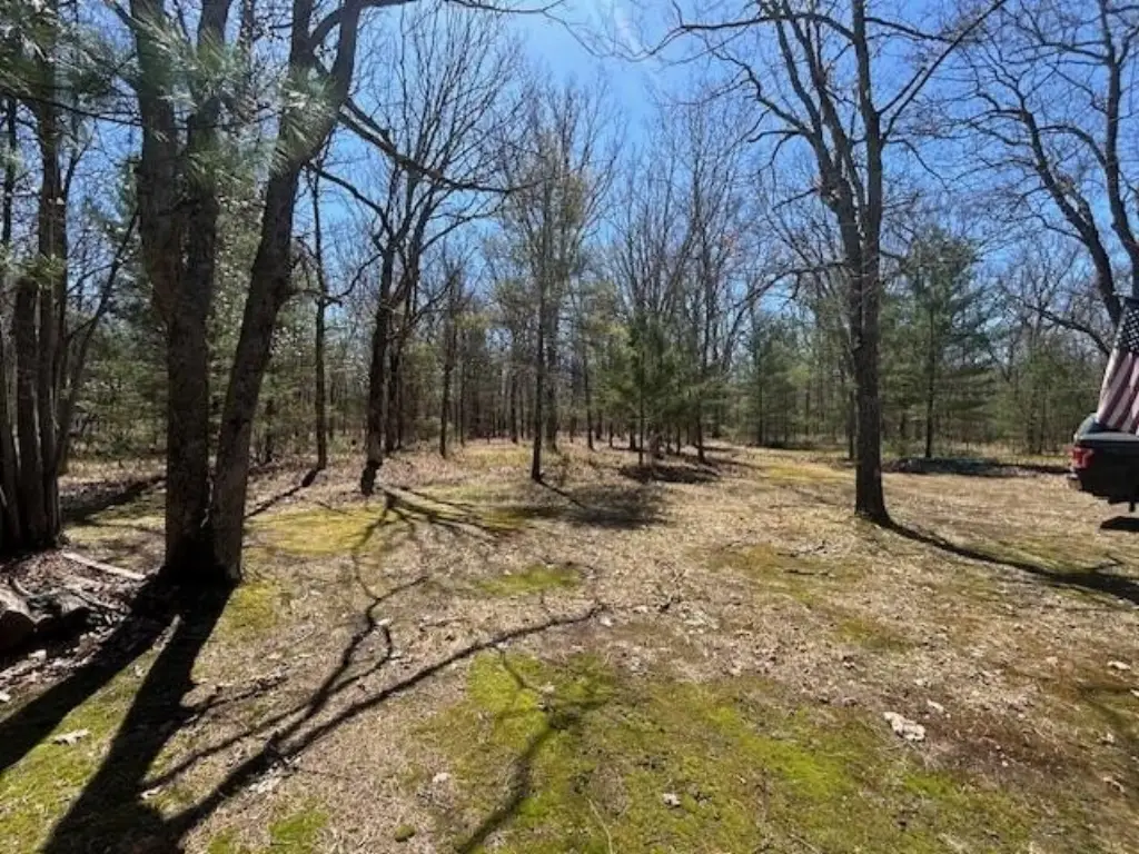 Picture 11