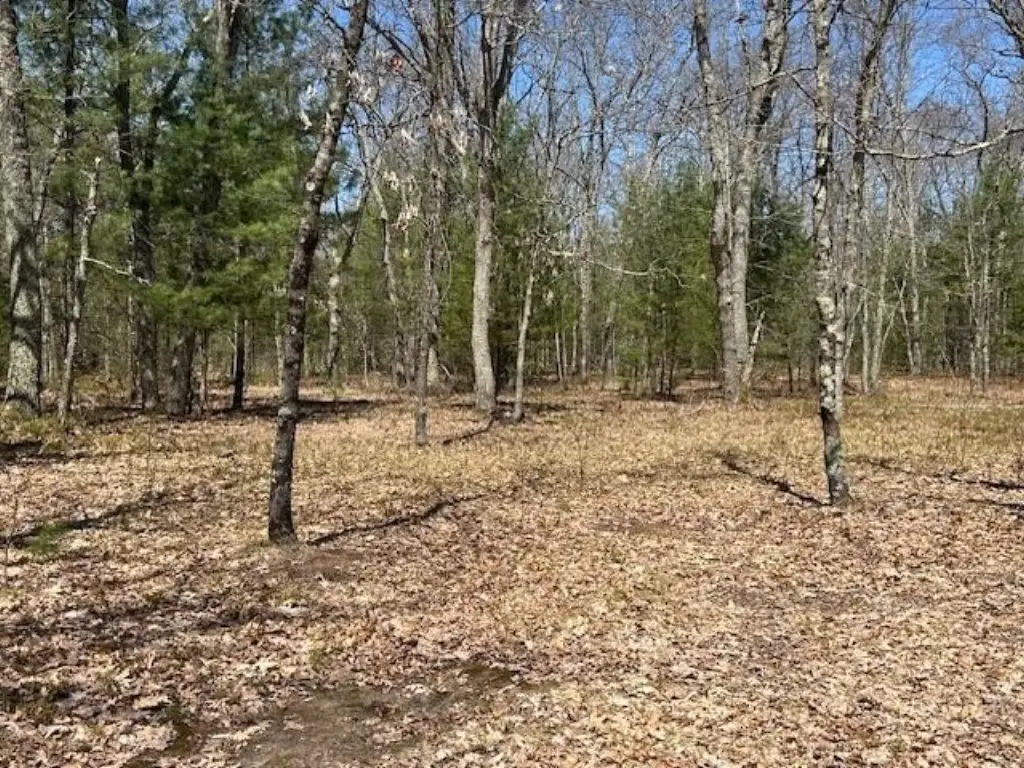 Picture 13
