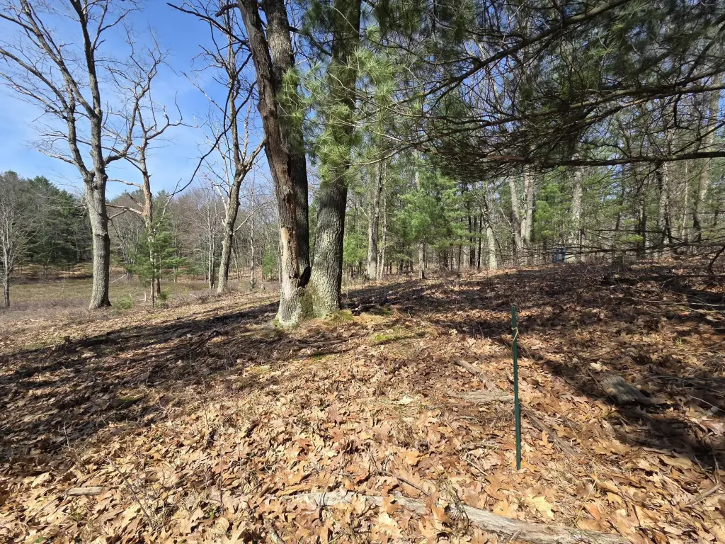 Picture 12