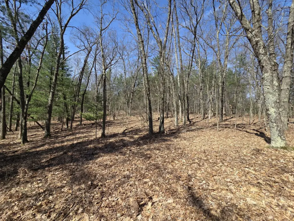 Picture 18