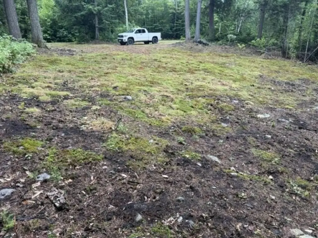 Picture 18