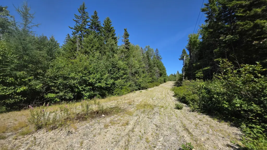 Picture 20