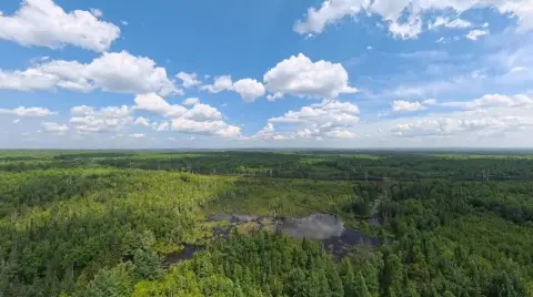 Hunting Land with Pond