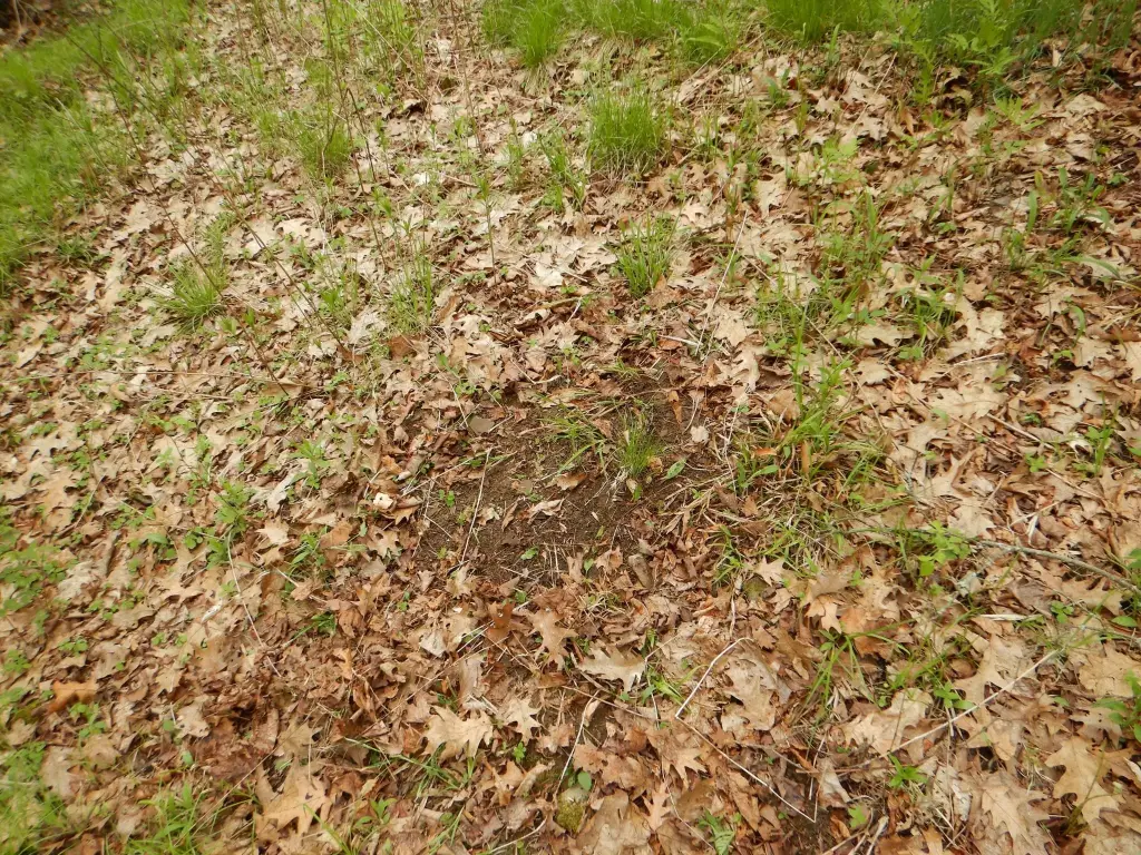 Picture 18