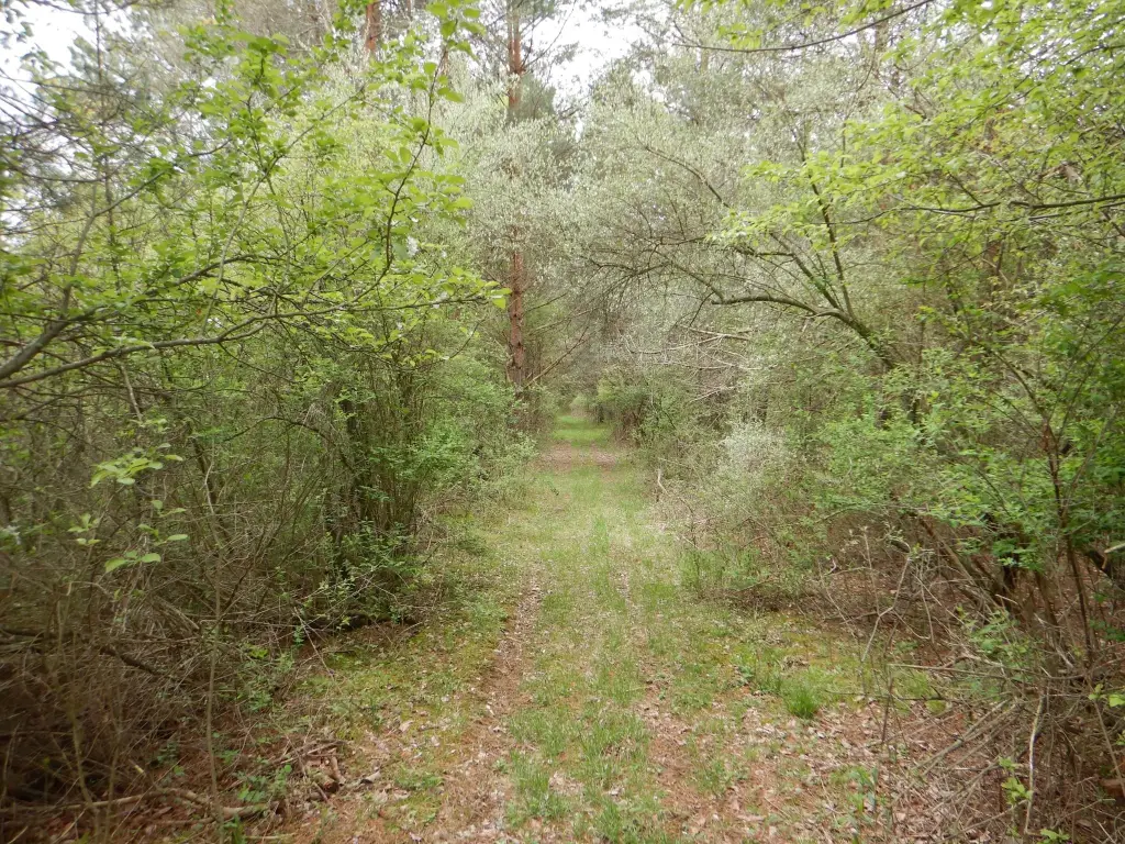 Picture 36