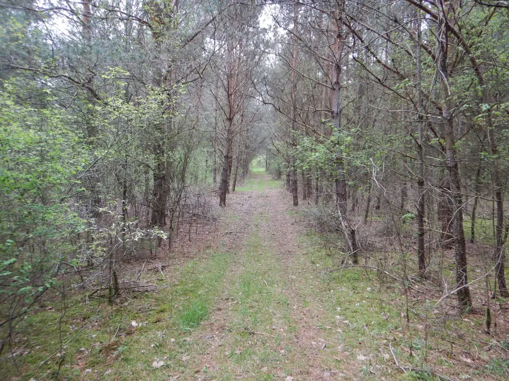 Picture 19