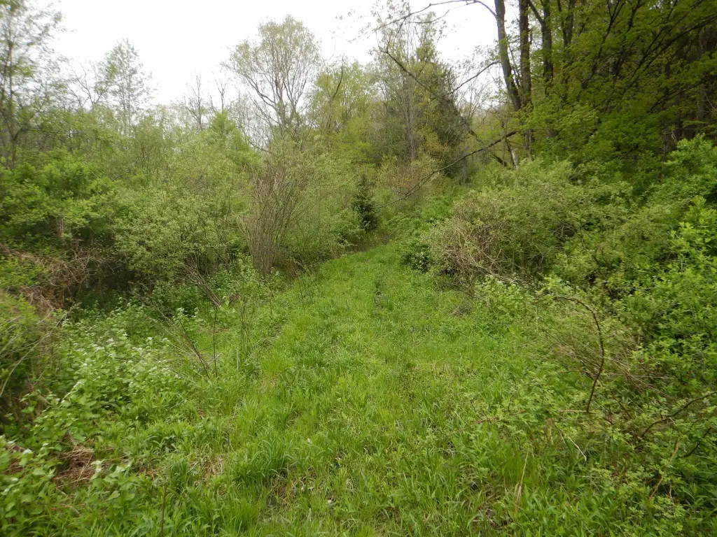 Picture 14