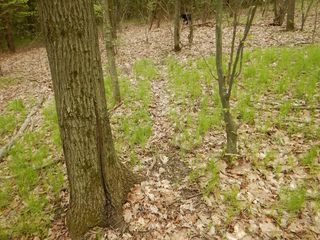 Picture 6