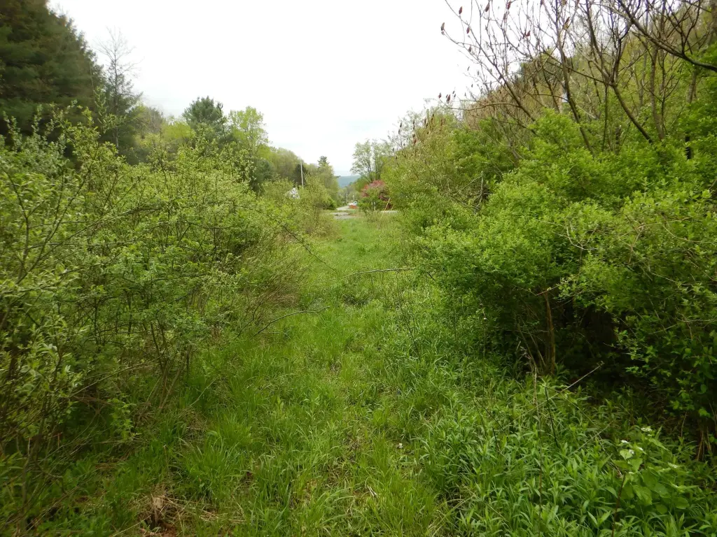 Picture 16