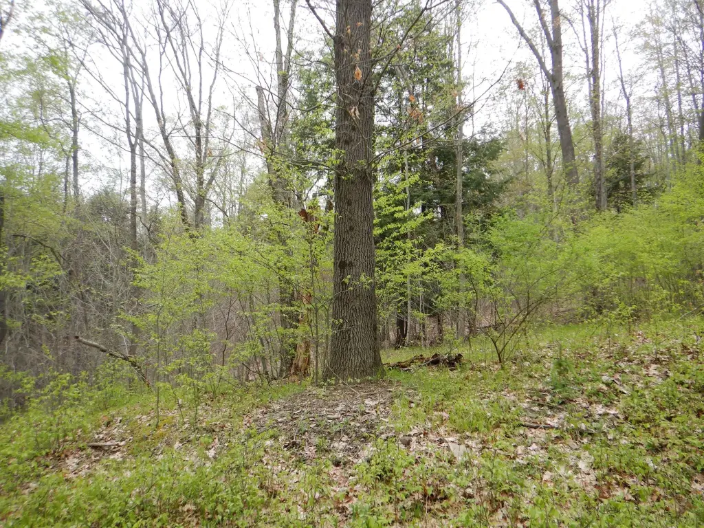 Picture 17