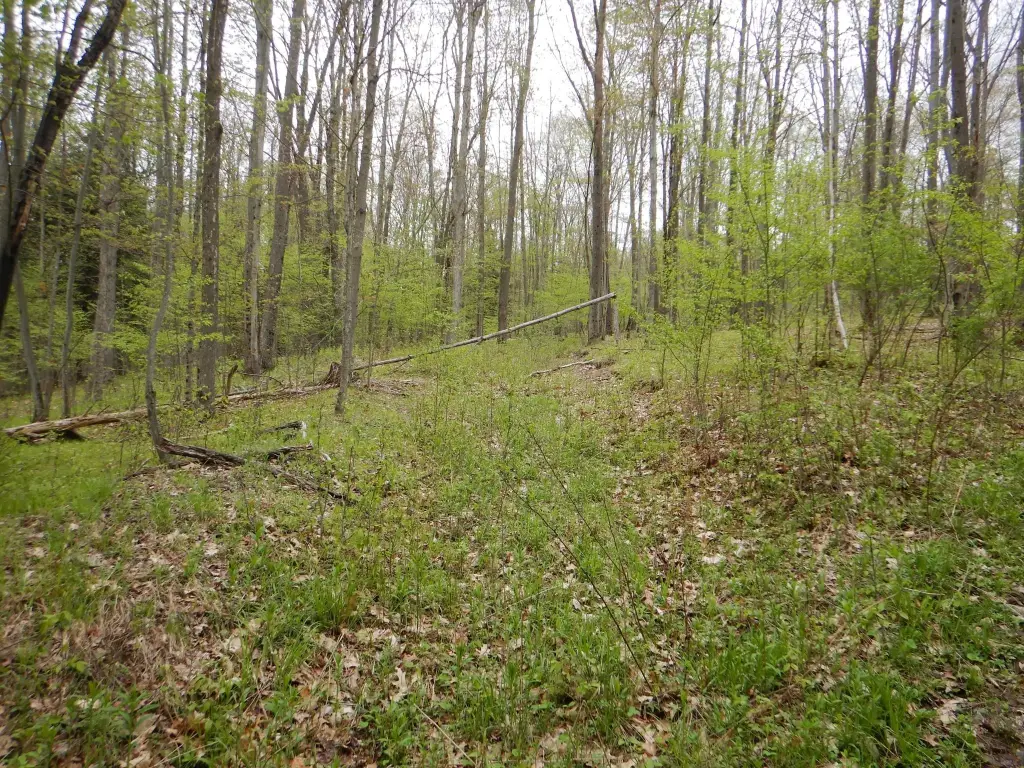 Picture 15