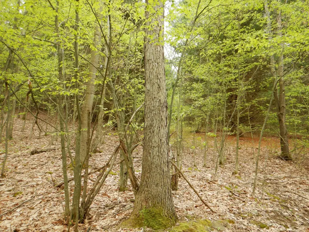 Picture 9