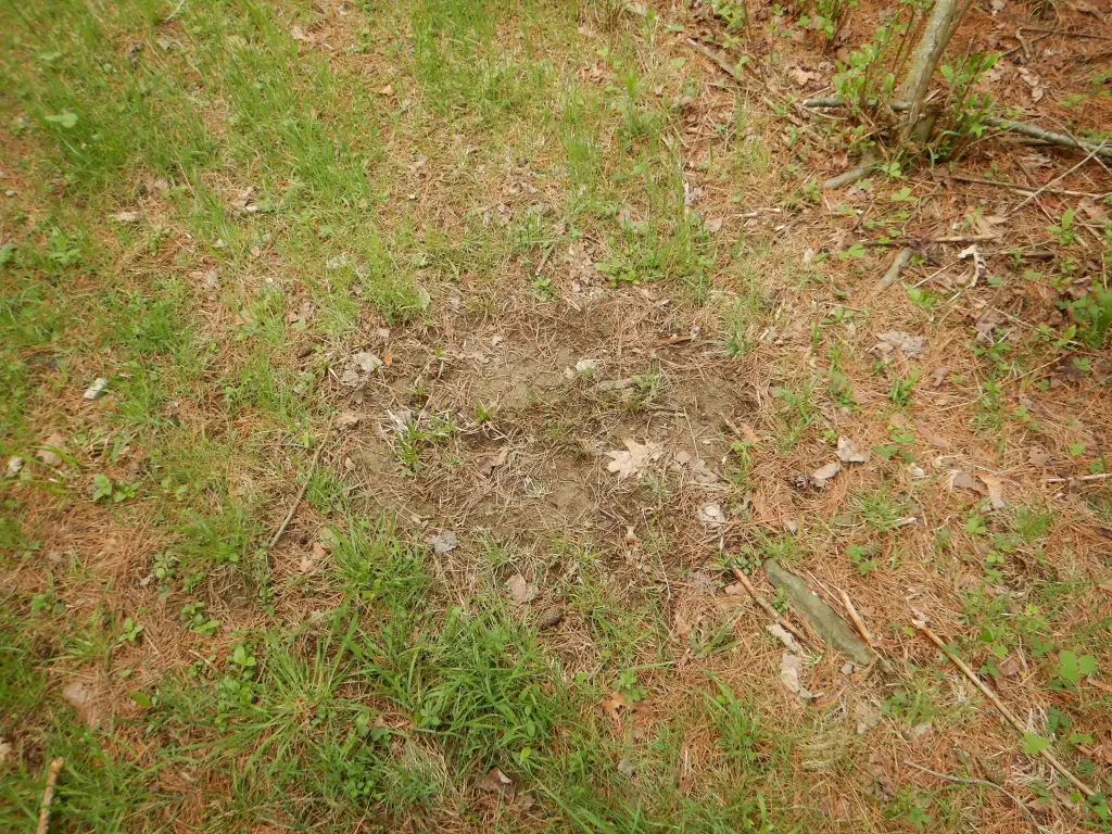 Picture 25