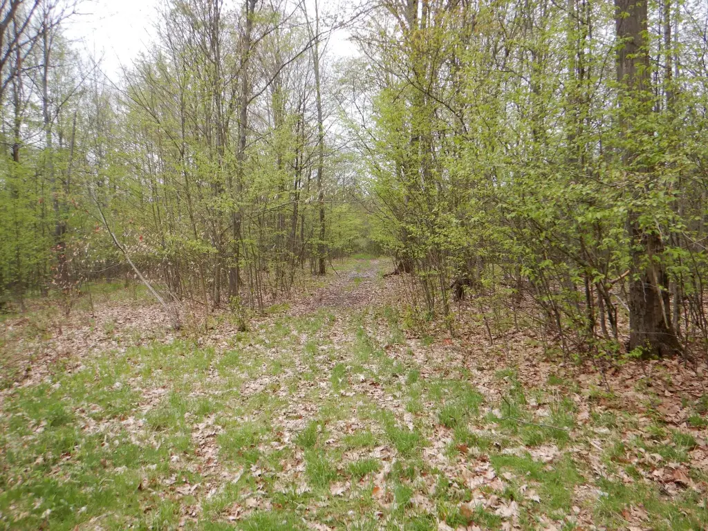 Picture 13