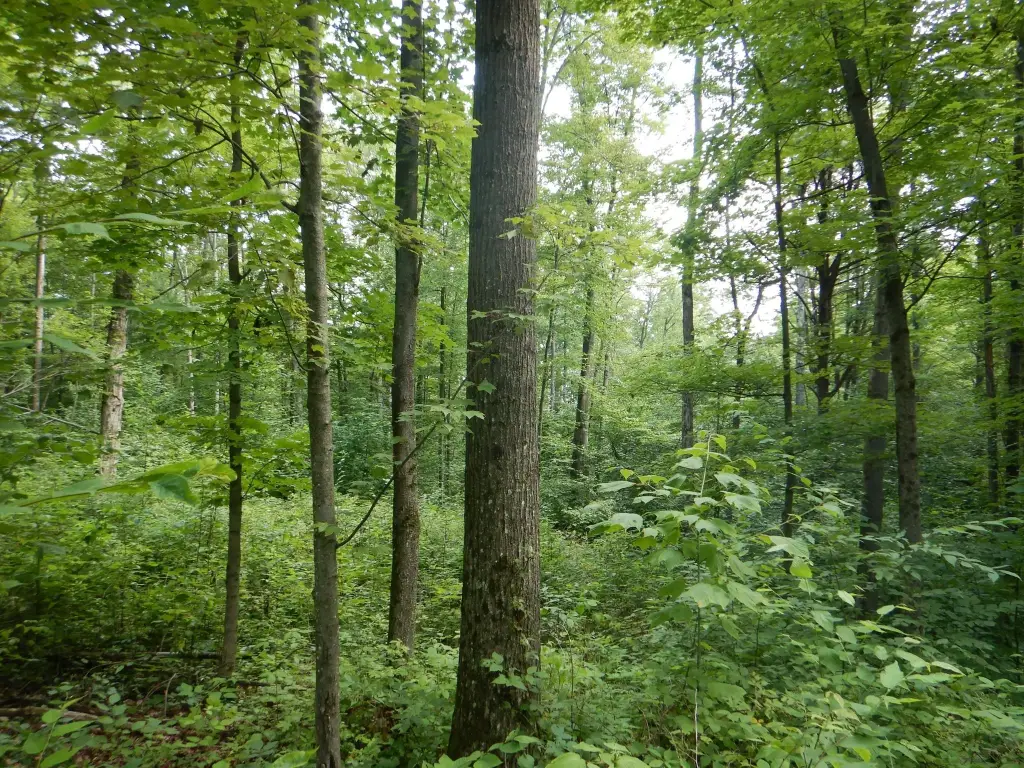 Picture 2