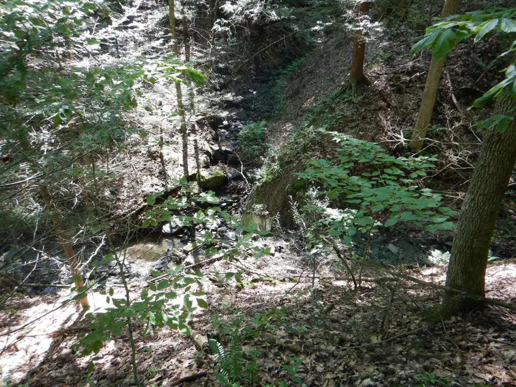 Picture 12