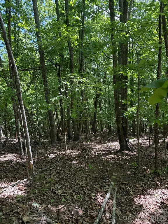 Picture 18