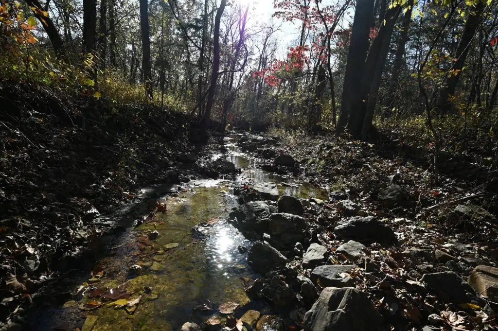 Picture 41