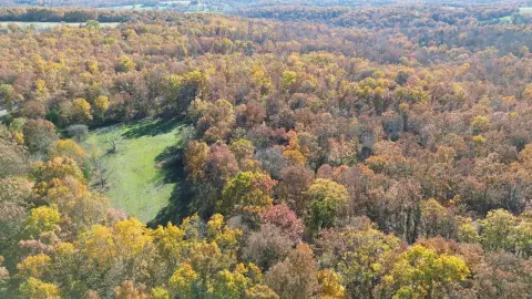 Managed Hunting Land