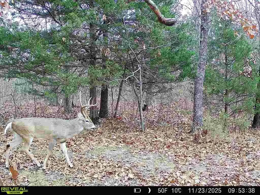 Picture 5