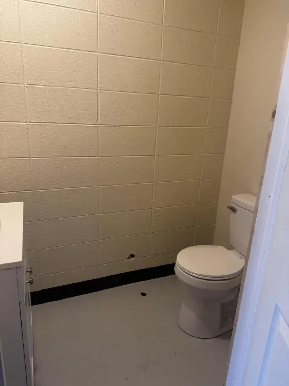 Picture 5