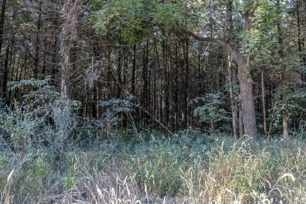 Picture 29