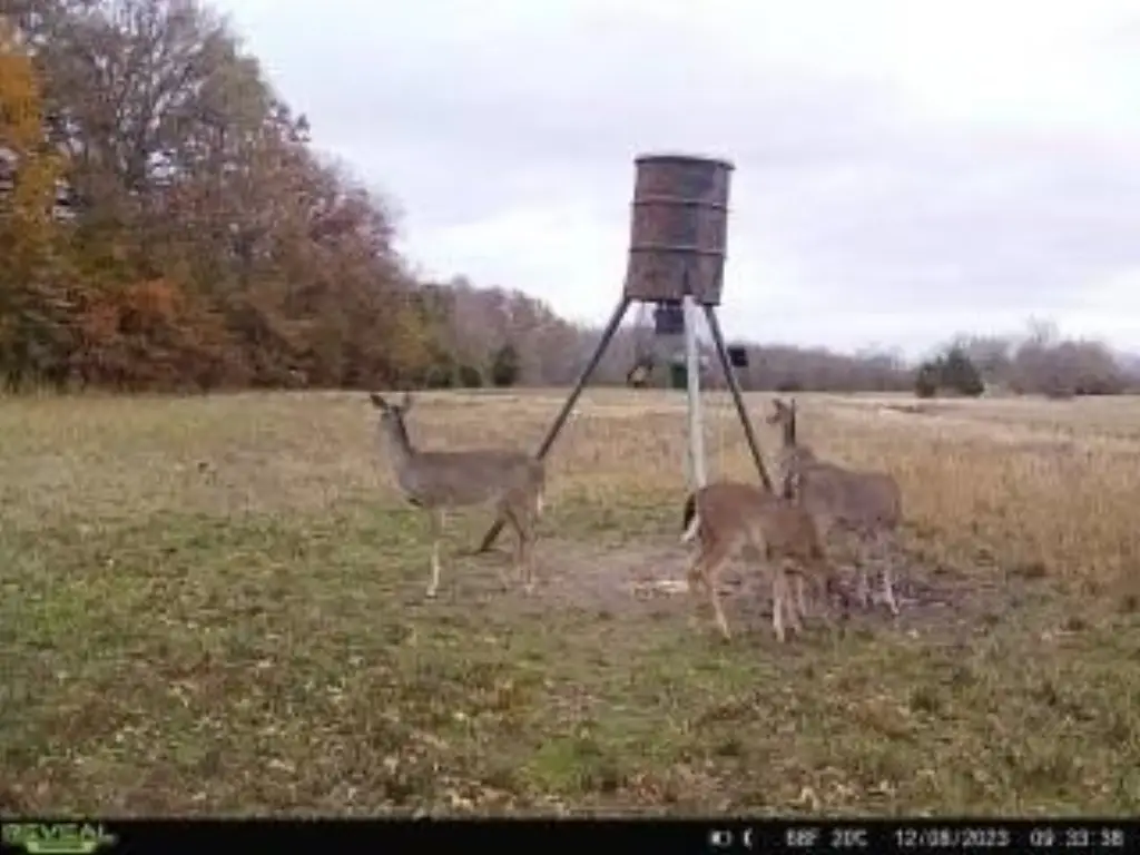 Picture 5