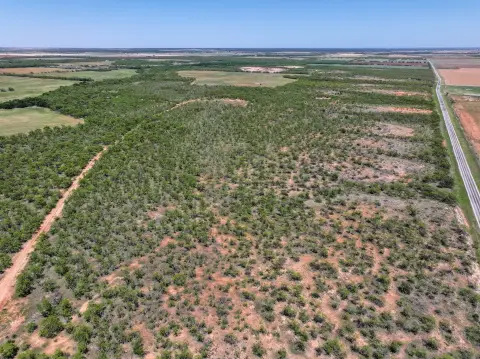Rural Acreage with Road Frontage