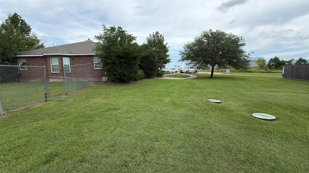 Picture 19