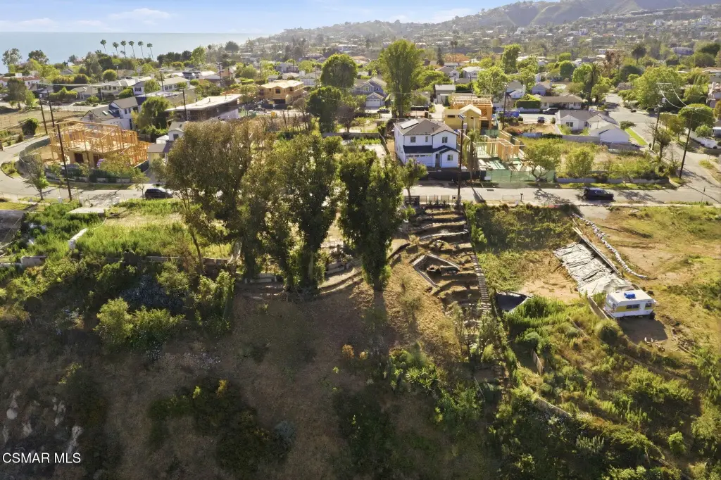 Picture 16