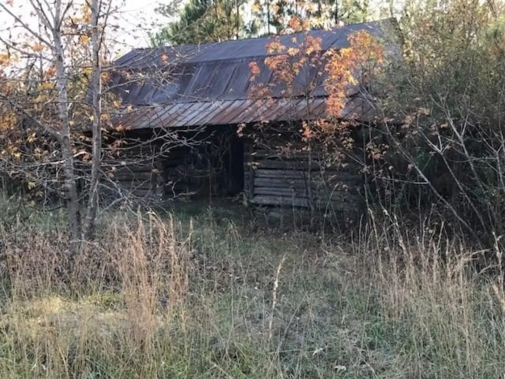 Picture 4