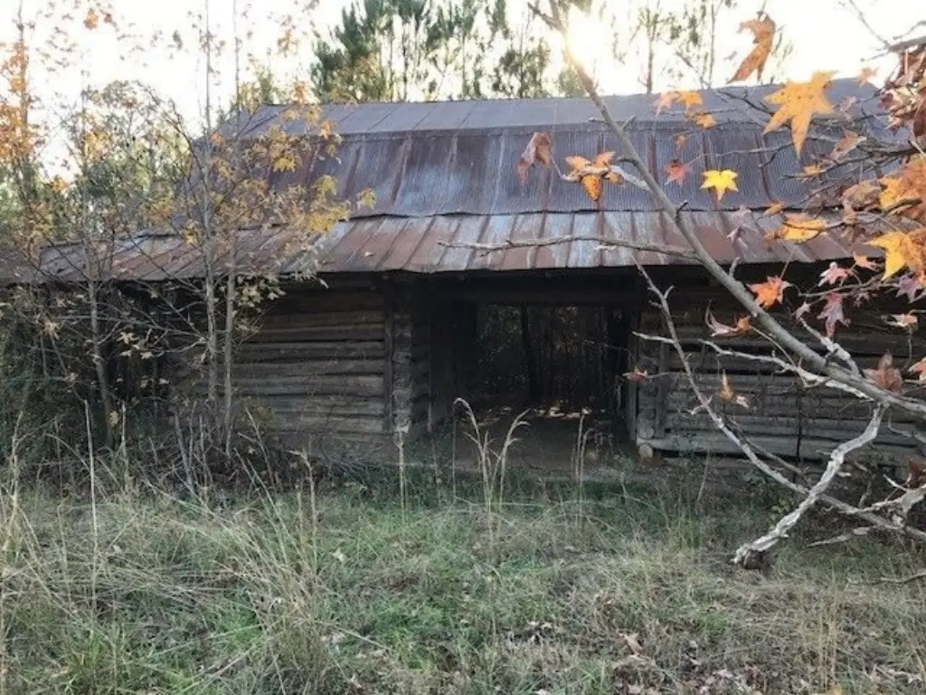 Picture 5