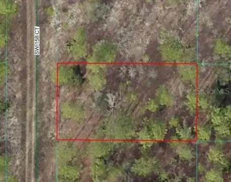 Wooded Lot in Growing Community