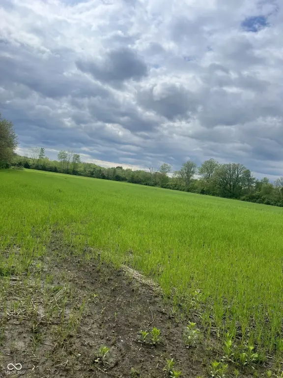 Picture 4