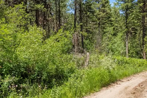 Land Near Lake and Trails