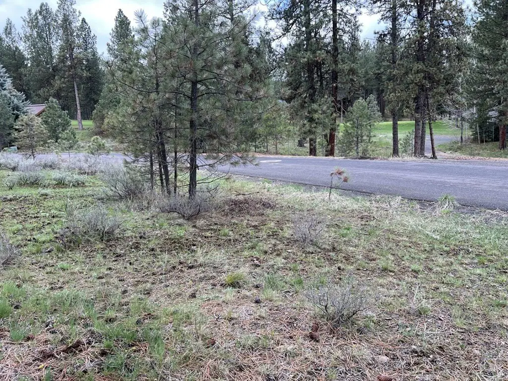 Picture 22
