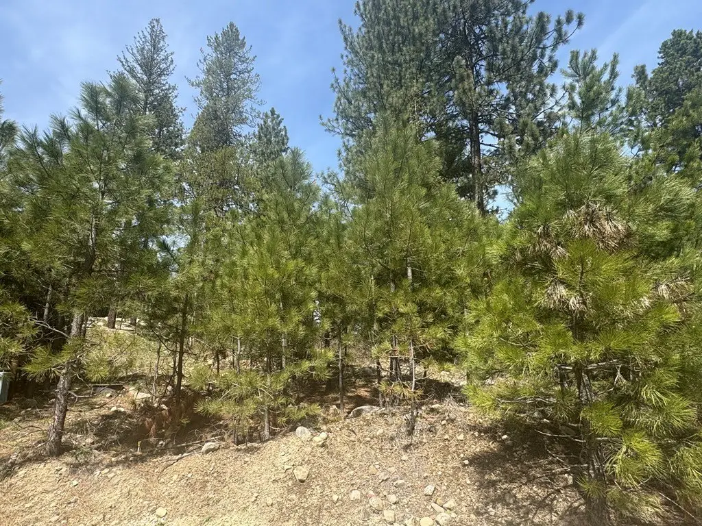Picture 4