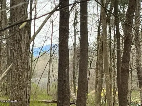 Residential Land in Great Barrington