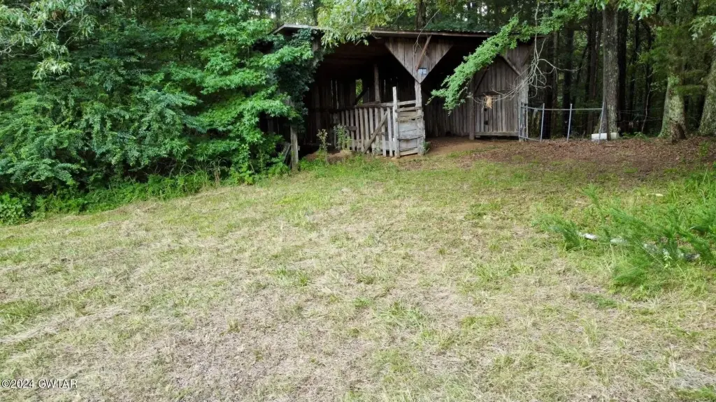 Picture 5