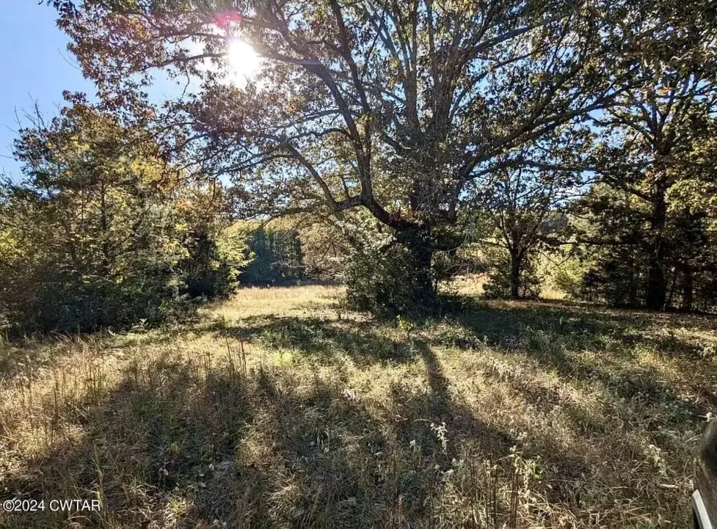 Picture 13