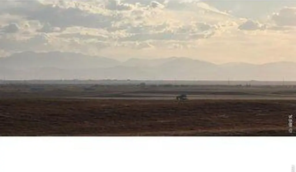 Picture 23