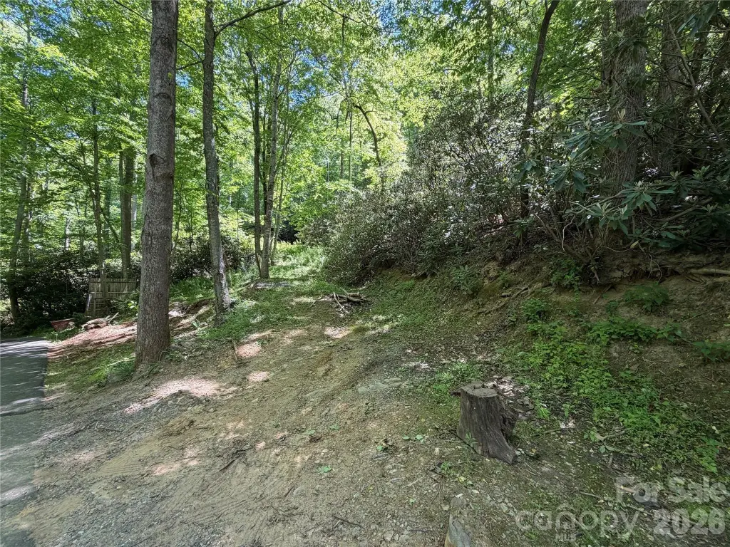 Picture 15