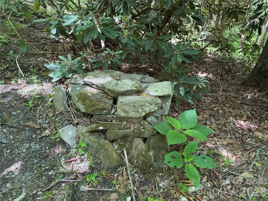 Picture 17