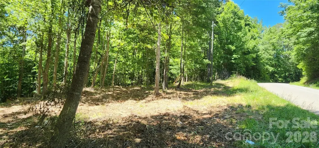 Picture 30