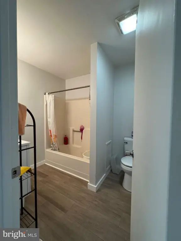 Picture 16