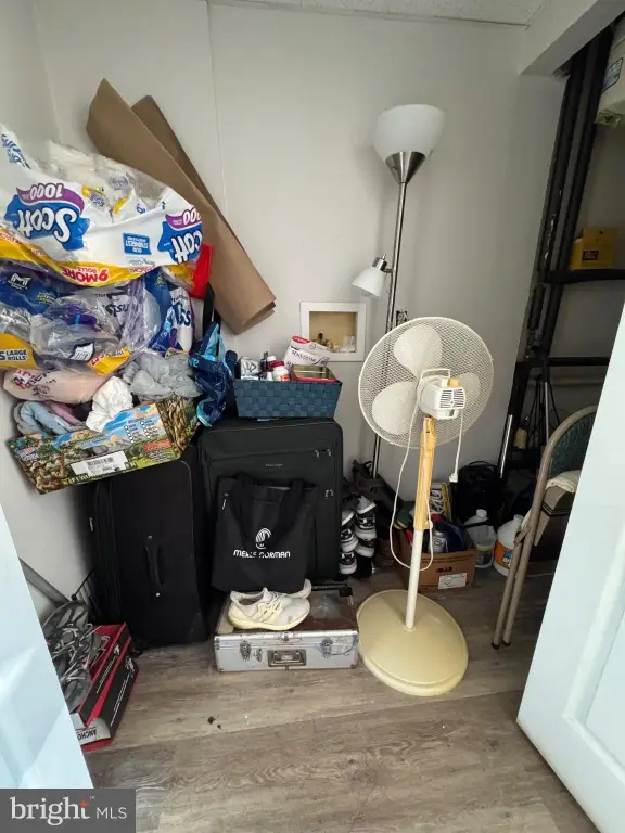 Picture 11