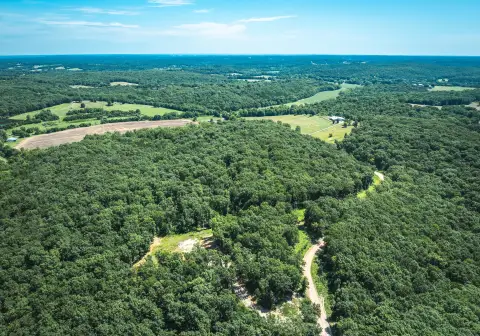 Ownesville, MO Vacant Land