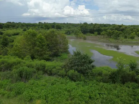 Winnsboro Vacant Land: Hunting/Agricultural Potential