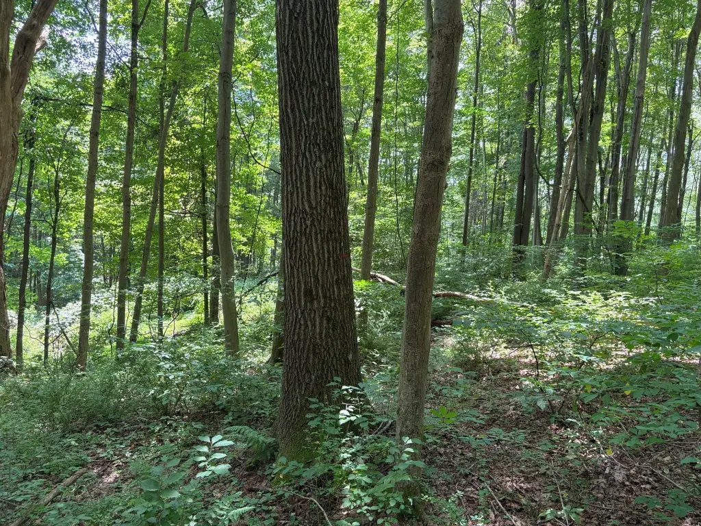 Picture 6