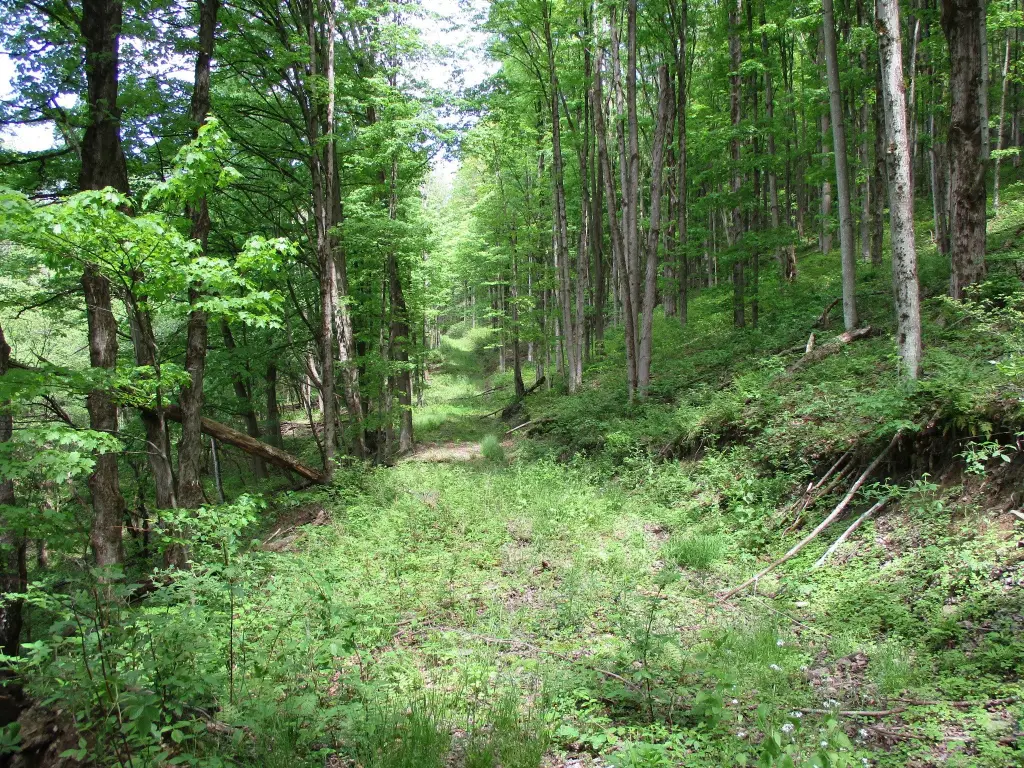 Picture 27